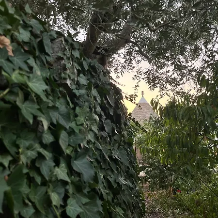 Borgo Miceli