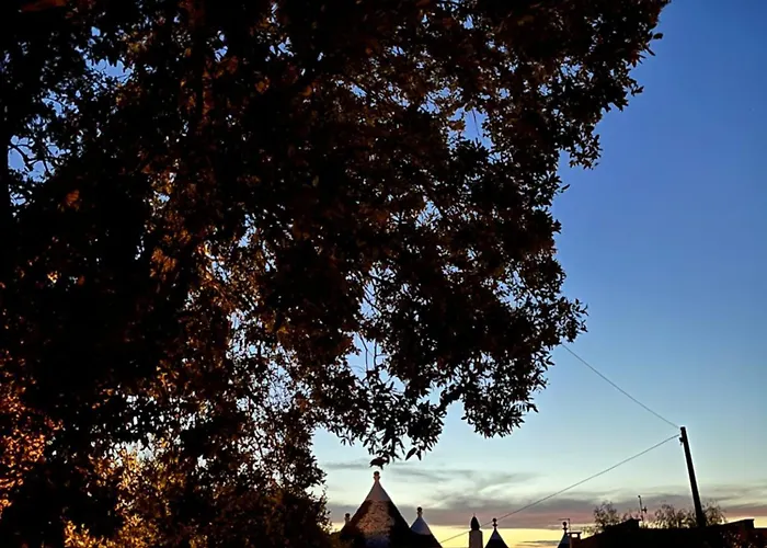 לינה וארוחת בוקר Borgo Miceli 3*